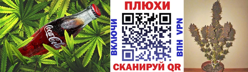 Canna-Cookies марихуана  Свирск 