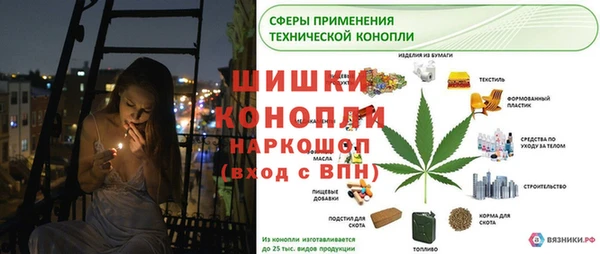 PSILOCYBIN Осташков
